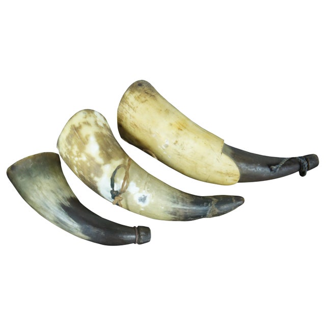 Lot of three small antique horns for black powder, with carrying strings. Largest - 6.5” x 2.5” x 1.75” / Smallest - 4.75”...