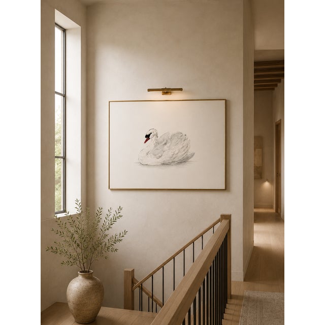 White Mute Swan by Aert Schouman, Vintage Bird Art Print Reproduction, 24" X 16" For Sale - Image 8 of 9
