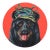 Black Bear's Fish Tower Top Hat - Original Black Bear and Fish Pop Art Oil Painting For Sale