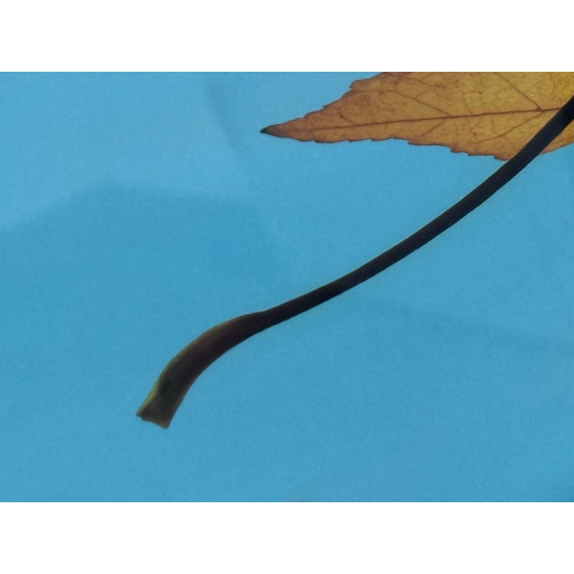 Wood Thom Filicia for Soicher Marin Leaves in Motion Print, Framed For Sale - Image 7 of 12