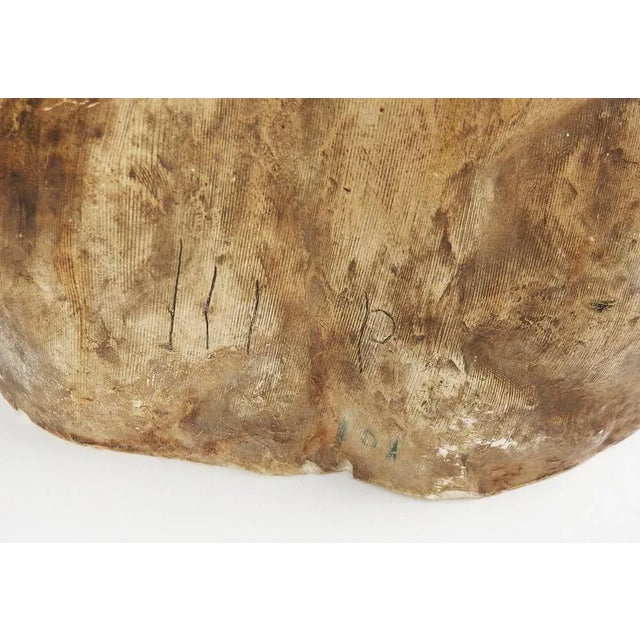 Brown Plaster Bust by Jean Pavie, 1890-1910 For Sale - Image 8 of 13