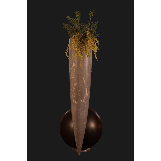 Silvestrin Amphora in Jurassic Fossil Stone by Nerinea For Sale - Image 4 of 7
