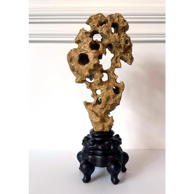 Chinese Yellow Scholar Taihu Stone on Wood Stand For Sale In Atlanta - Image 6 of 13