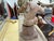 18th Century Italian Carved Wood Torso on Plinth For Sale - Image 10 of 10