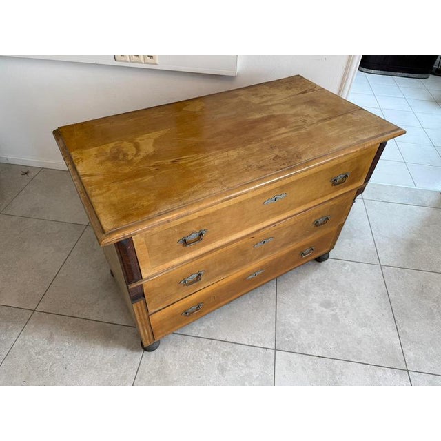 Gründerzeit Chest of Drawers in Walnut For Sale - Image 4 of 15