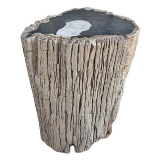 Andrianna Shamaris Abstract High Quality Petrified Wood Side Table For Sale