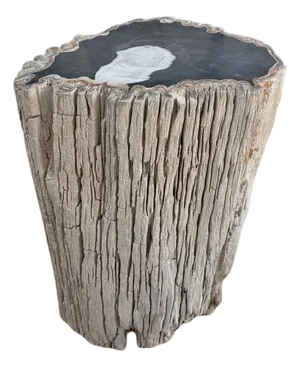 Andrianna Shamaris Abstract High Quality Petrified Wood Side Table
