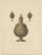 Late 19th Century Hefner-Alteneck, A Gold Flask, 1890, Print For Sale - Image 5 of 5