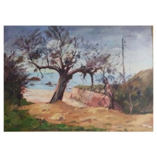 Angiolo Volpe, Tamerici, Oil on Canvas For Sale
