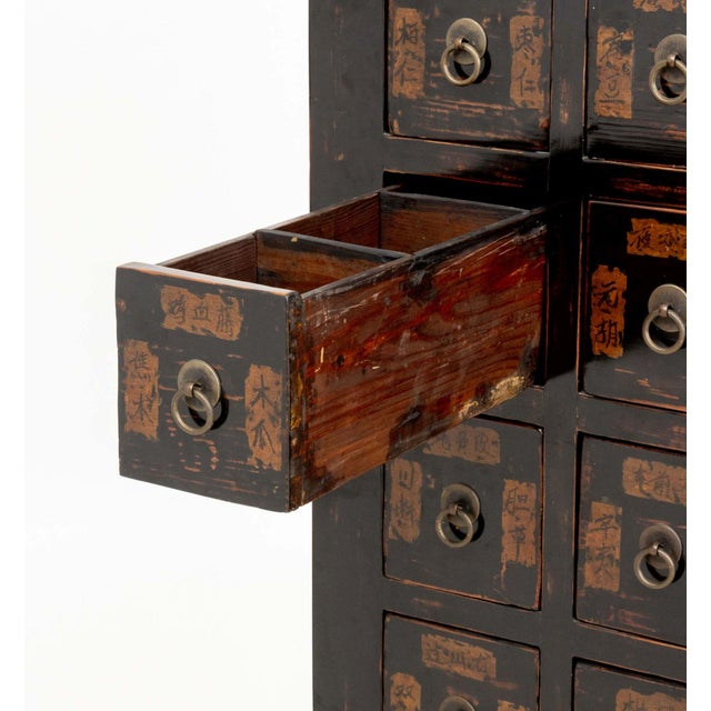 Wood Chinese Apothecary Cabinet, 19th Century For Sale - Image 7 of 11