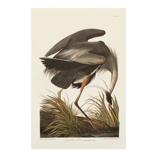 1990s Great Blue Heron After Audubon, Large Chinoiserie Style Print For Sale
