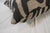 Enhance your living space with the elegant Zebre by Mokum Decorative Pillow (16x16), a perfect accent for any room. This...
