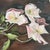 Antique oil painting on board by John Allan in 1928. Features beautiful pink flowers (possibly dogwood flowers?) with a...