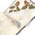 c.1900 Herbarium Album With 26 Specimens, Hand-Drawn Studies & Calligraphic Manuscript For Sale - Image 15 of 17