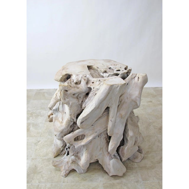 Wood Contemporary Organic Modern Teak Root Sculpture 2 For Sale - Image 7 of 10