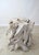 Wood Contemporary Organic Modern Teak Root Sculpture 2 For Sale - Image 7 of 10