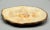 French Trompe l'Oeil Faux Bois Glazed Organic Oyster Plate For Sale - Image 11 of 12