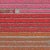 "AV_Tulip_Fields_035" Contemporary Aerial View Limited Edition Photograph by Bernhard Lang For Sale - Image 6 of 10