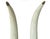 Stone Pair of Tessellated Marble Faux Tusks on Brass and Faux Marble Bases For Sale - Image 7 of 12