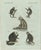 Bertuch, Five Monkeys and Tamarins, 1802, Engraving For Sale