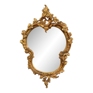 Louis XV Cartouche Rococo Baroque Gilt Wood Wall Mirror