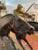 Antique Horse Race Bronze Sculpture For Sale In Miami - Image 6 of 10