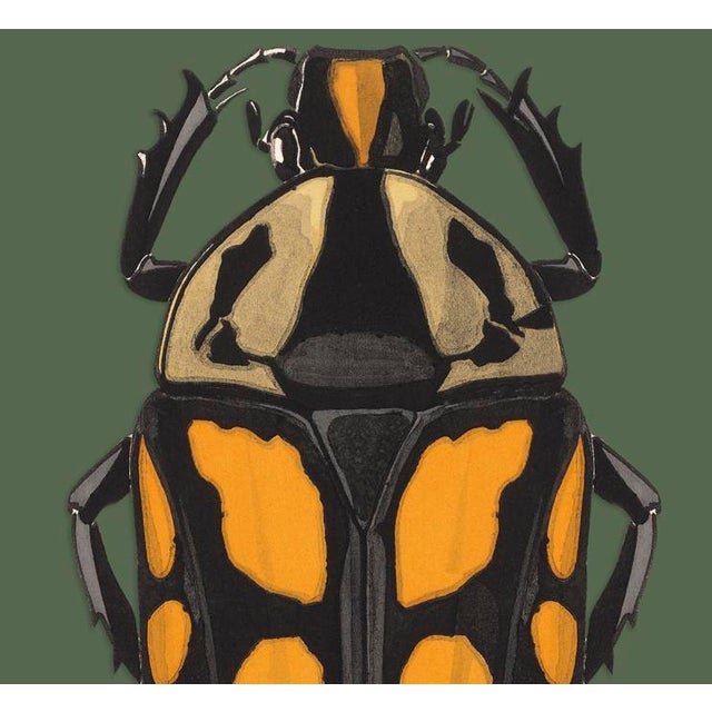 The series was produced by CFA editions from original pochior prints by E.A. Seguy. The series of insects that Seguy...