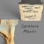 Late 20th Century Campbell G Paxton Signed Contemporary Clay Figurative Sculpture-Wood Base-Modern For Sale - Image 5 of 11