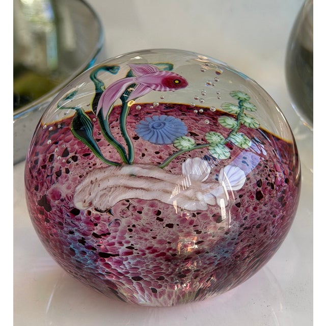 Modern Rare Signed Steven Correa Lampwork Le Paperweight - Fish 16/100 For Sale - Image 3 of 5