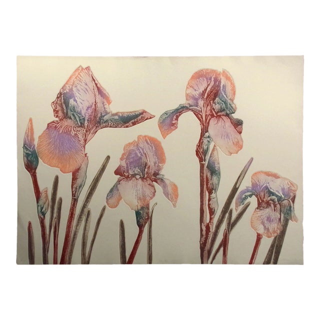 Catherine O'Connor "Iris" Hand Signed Limited Edition Floral Still Life Etching For Sale