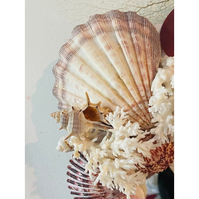 1970s Fabulous Sea Shell Encrusted 4 Ft Wall Mirror For Sale - Image 5 of 6