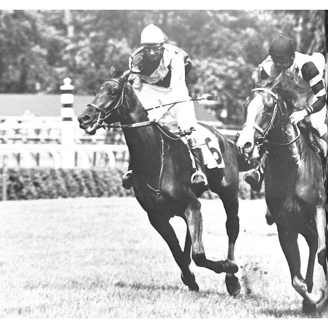 Traditional "Steeplechasing" 1983 Woolfe Jr., Raymond For Sale - Image 3 of 8