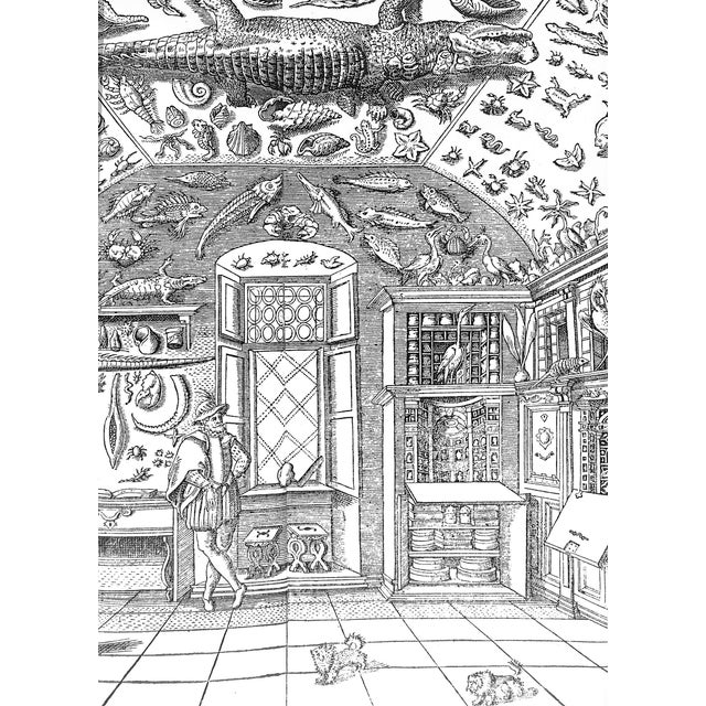 "Cabinets of Curiosities" 2002 Mauries, Patrick For Sale - Image 12 of 12