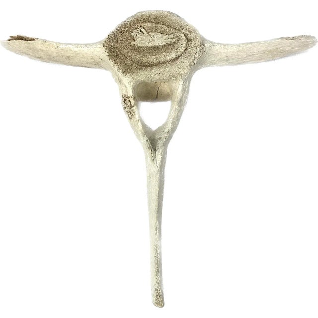 Fossilized Carved Whale Vertebrae #16 For Sale - Image 11 of 11