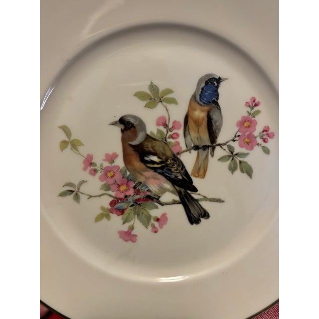 Mid Century Jkw Western Germany Porcelain Song Bird Plates, Set of 6 For Sale In Louisville - Image 6 of 12