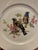 Mid Century Jkw Western Germany Porcelain Song Bird Plates, Set of 6 For Sale In Louisville - Image 6 of 12
