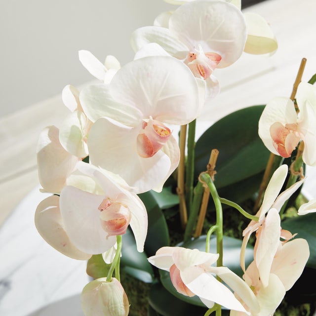 Phalaenopsis Orchid Bowl Drop-In 18.5" For Sale In Chicago - Image 6 of 8
