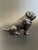 Vintage Cast Iron English Bulldog Nutcracker For Sale In Las Vegas - Image 6 of 14