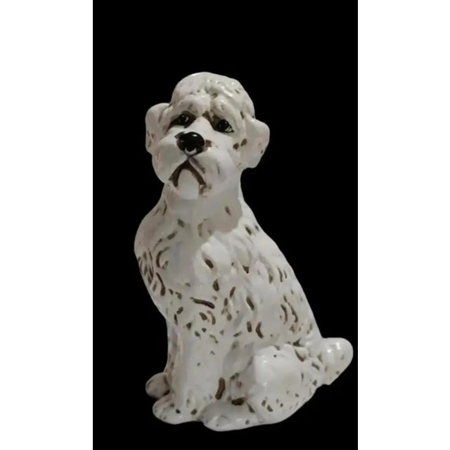 For your consideration. . . A special little canine companion. This is such a sweet little dog, sitting patiently waiting...