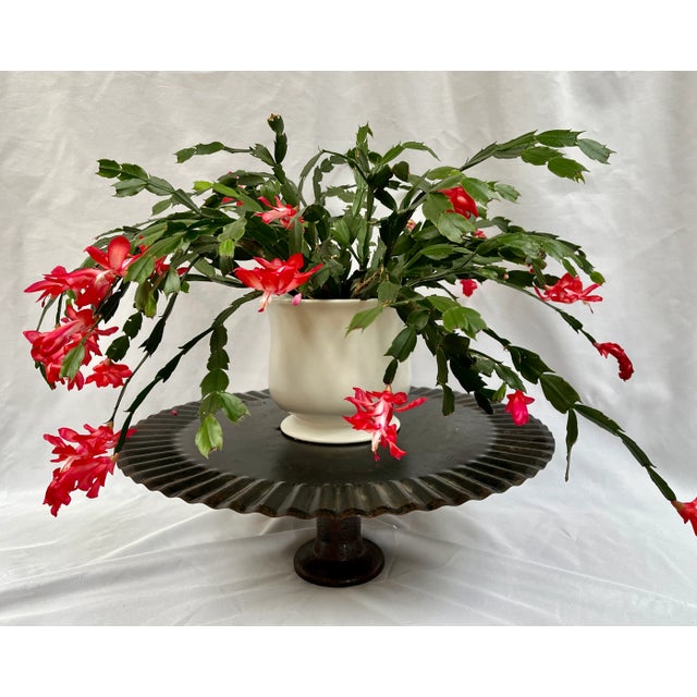 Contemporary Vintage Industrial Farm Implement Fluted Pedestal Riser/Charcuterie Board/Cake Stand For Sale - Image 3 of 8