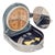 Vintage Model II Bezard Liquid Compass in Leather Case from Lufft, 1950s For Sale