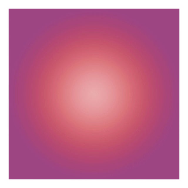 Paul Snell "Hover # 201914", Photograph For Sale