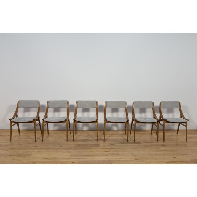 Polish Ski Jumper Chairs from Zamojska, 1970s, Set of 6 For Sale - Image 4 of 18