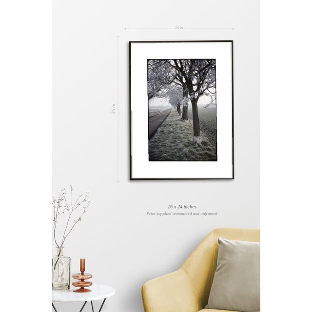 Paul Cooklin, Frosty Trees, Occold, Suffolk, Edition of 50 For Sale - Image 4 of 7