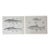 Mid 19th Century Us Pacifc Railroad Fish Lithograph Book Plate - A Pair For Sale