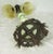 Early 20th Century Uranium Jadeite Table Lamp Alabaster Shades For Sale - Image 15 of 18