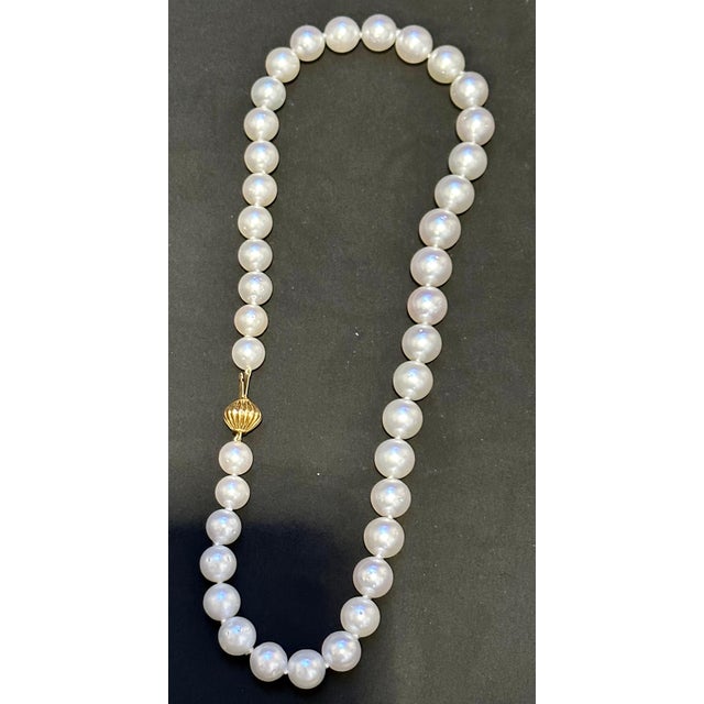 White Graduating White South Sea Pearls 9-12mm Strand Necklace 14 Kt Yellow Gold Clasp For Sale - Image 8 of 18