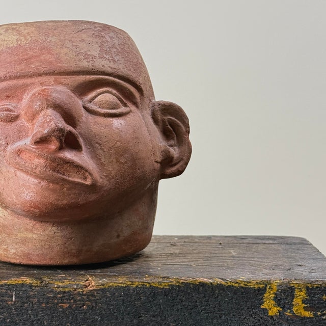 Ceramic Rare Pre-Colonial Moche Portrait Head Vessel With Tumor and Facial Paralysis (Circa a.d. 200-500) For Sale - Image 7 of 10