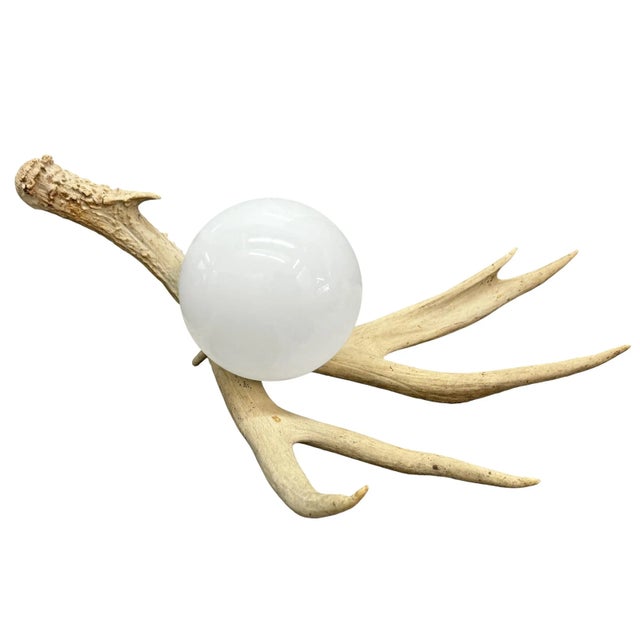 Contemporary Deer Antler Lamp For Sale - Image 3 of 12