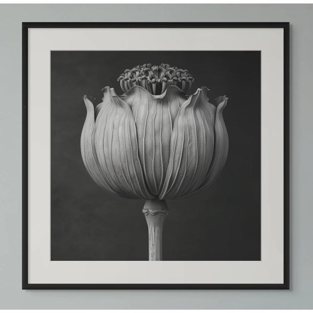 Abstract Poppy Pod Head No. 2 - Black and White Botanical Floral Photograph Print | Karl Blossfeldt | Unframed For Sale - Image 3 of 3